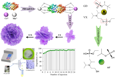 張梁教授團(tuán)隊(duì)在Chemical Engineering Journal發(fā)表了多金屬基磷酸三酯酶雜化納米花對(duì)有機(jī)磷化合物去除的研究成果