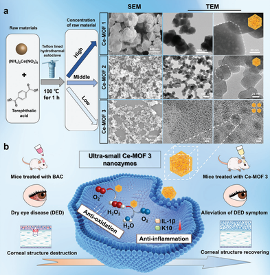 干眼治療新路徑!復旦團隊研發納米酶"刷"掉過量眼表活性氧
