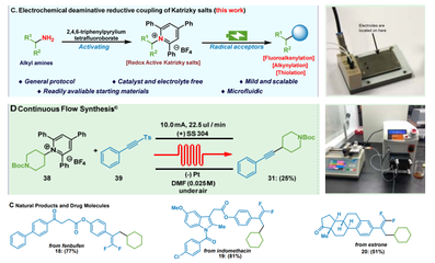 生物與制藥工程學院郭凱教授團隊在Nature Communications報道微流場電化學合成領域新進展