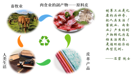 全天然高舒適度生態(tài)皮革減碳制造關鍵材料與技術研發(fā)
