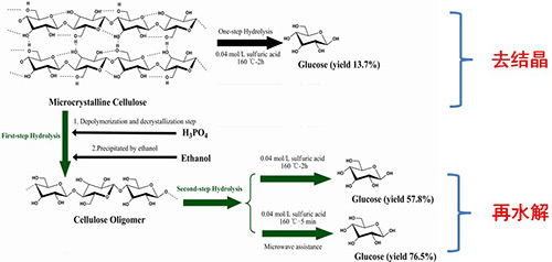 寧波材料所在纖維素水解變糖技術方面取得新進展
