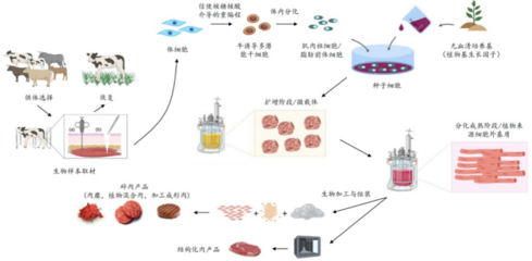 226起投融資、52個過億項目.食品飲料行業有哪些潛力賽道值得挖掘?