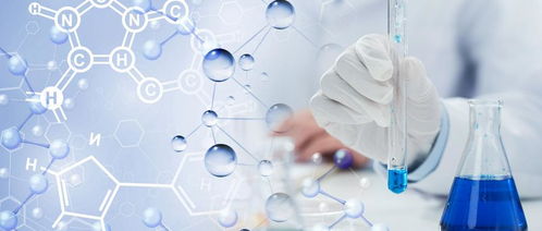 PE發泡塑料配方分析與檢測標準及生物基材料技術研發