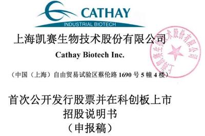 凱賽生物IPO隱憂 安全生產風險與違規(guī)行為頻發(fā)